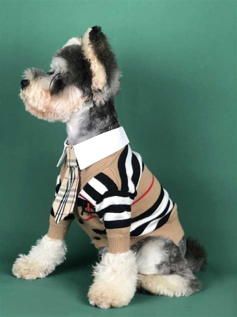 burberry inspired dog clothes|luxury dog boutique uk.